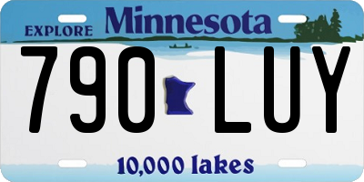 MN license plate 790LUY
