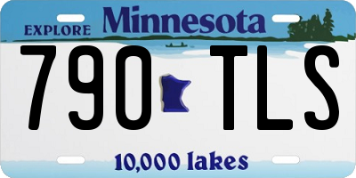 MN license plate 790TLS