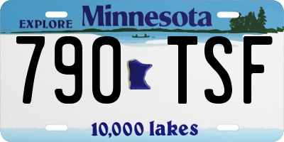MN license plate 790TSF