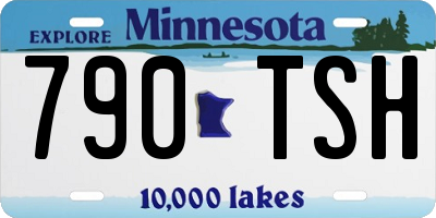 MN license plate 790TSH