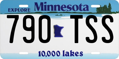 MN license plate 790TSS