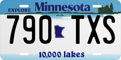 MN license plate 790TXS