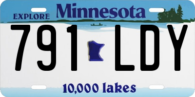MN license plate 791LDY