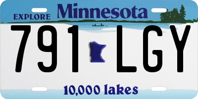 MN license plate 791LGY