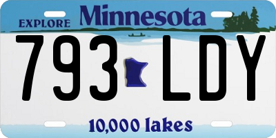 MN license plate 793LDY