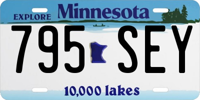 MN license plate 795SEY