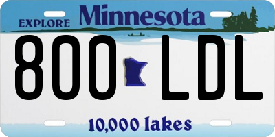 MN license plate 800LDL