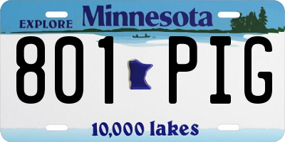 MN license plate 801PIG