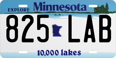 MN license plate 825LAB