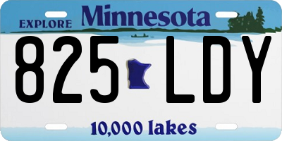 MN license plate 825LDY