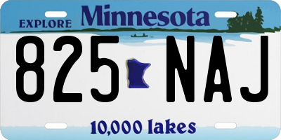 MN license plate 825NAJ