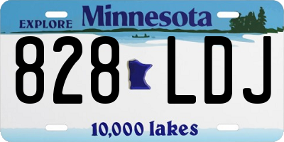 MN license plate 828LDJ