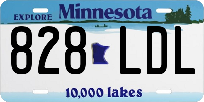 MN license plate 828LDL