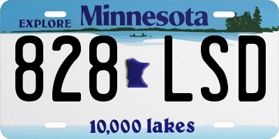 MN license plate 828LSD