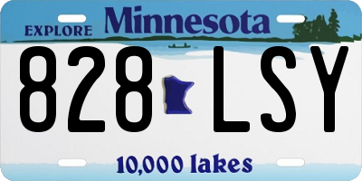 MN license plate 828LSY