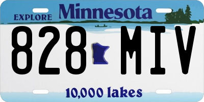 MN license plate 828MIV