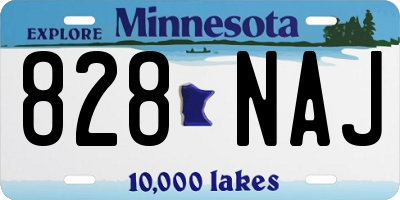 MN license plate 828NAJ