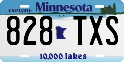 MN license plate 828TXS
