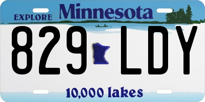 MN license plate 829LDY