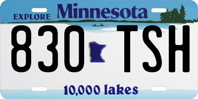 MN license plate 830TSH