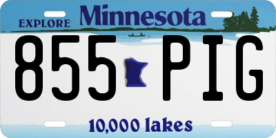 MN license plate 855PIG