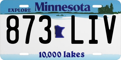 MN license plate 873LIV