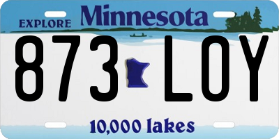 MN license plate 873LOY