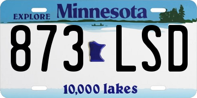 MN license plate 873LSD