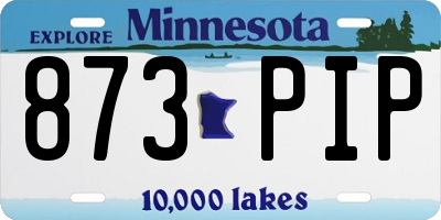 MN license plate 873PIP