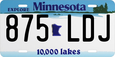 MN license plate 875LDJ