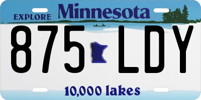 MN license plate 875LDY