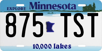 MN license plate 875TST