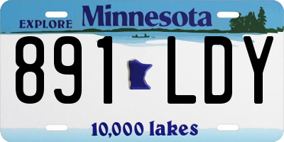 MN license plate 891LDY