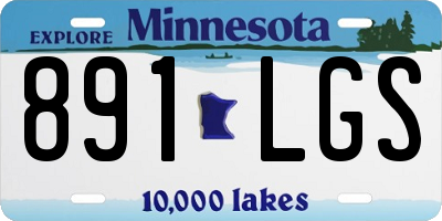 MN license plate 891LGS