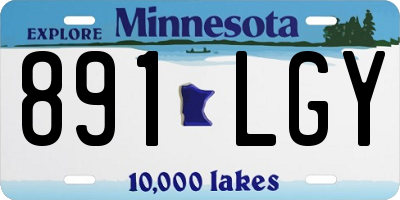 MN license plate 891LGY