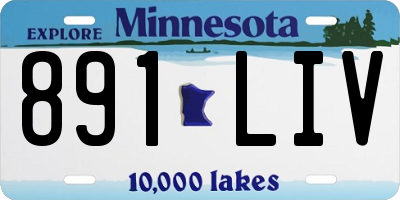 MN license plate 891LIV
