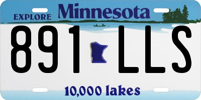 MN license plate 891LLS