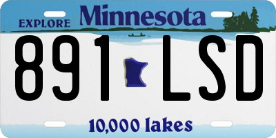 MN license plate 891LSD