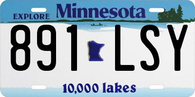 MN license plate 891LSY