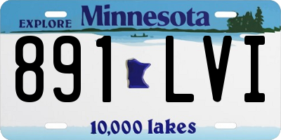 MN license plate 891LVI