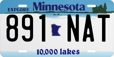 MN license plate 891NAT