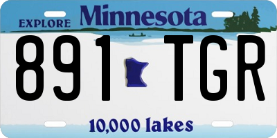 MN license plate 891TGR