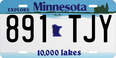 MN license plate 891TJY