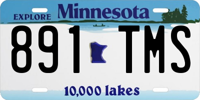 MN license plate 891TMS