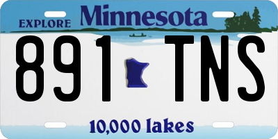 MN license plate 891TNS