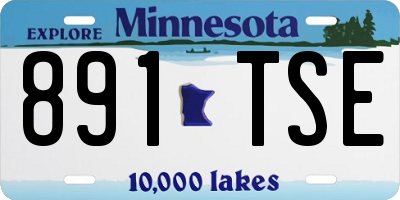 MN license plate 891TSE