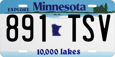 MN license plate 891TSV