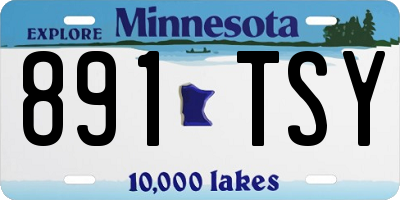 MN license plate 891TSY