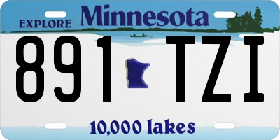 MN license plate 891TZI