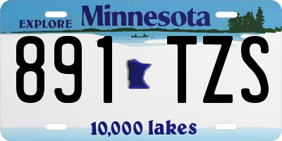 MN license plate 891TZS